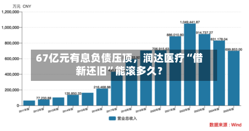67亿元有息负债压顶，润达医疗“借新还旧”能滚多久？-第2张图片