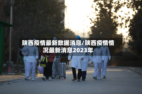 陕西疫情最新数据消息/陕西疫情情况最新消息2023年-第2张图片