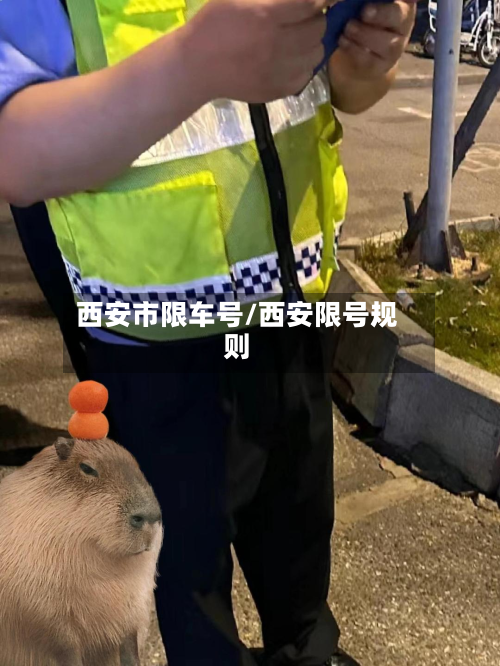 西安市限车号/西安限号规则