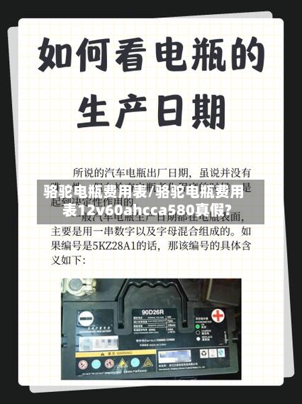 骆驼电瓶费用表/骆驼电瓶费用表12v60ahcca580真假?-第2张图片