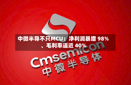 中微半导不只MCU：净利润暴增 98%、毛利率逼近 40%-第2张图片
