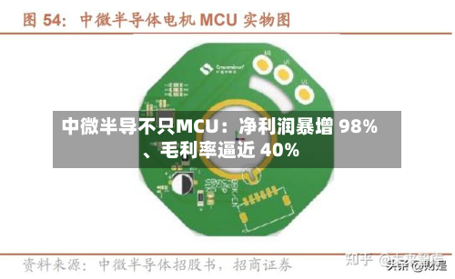 中微半导不只MCU：净利润暴增 98%、毛利率逼近 40%-第3张图片