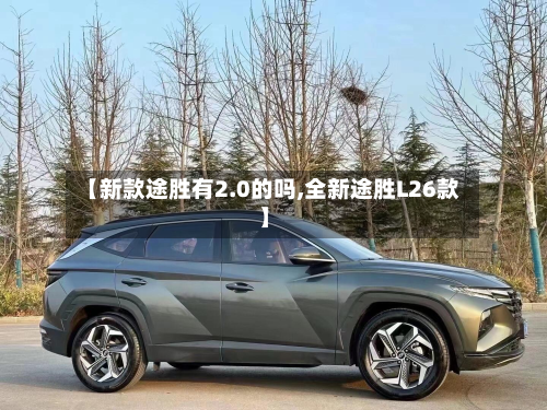 【新款途胜有2.0的吗,全新途胜L26款】-第2张图片