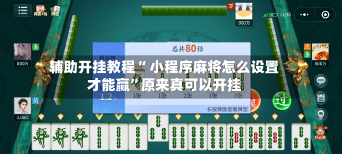 辅助开挂教程“ 小程序麻将怎么设置才能赢”原来真可以开挂-第2张图片