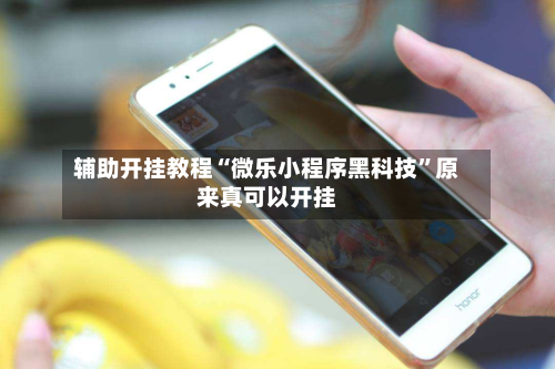 辅助开挂教程“微乐小程序黑科技	”原来真可以开挂-第2张图片
