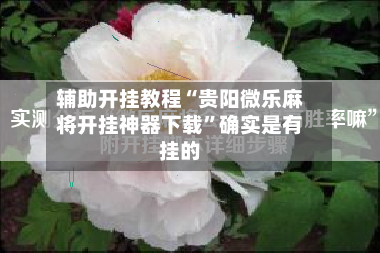辅助开挂教程“贵阳微乐麻将开挂神器下载”确实是有挂的-第2张图片