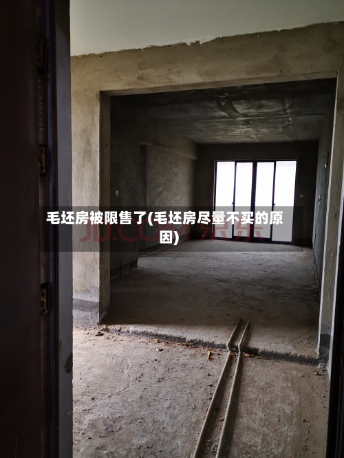 毛坯房被限售了(毛坯房尽量不买的原因)
