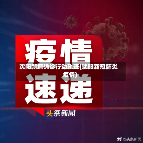 沈阳新增确诊行动轨迹(沈阳新冠肺炎疫情)