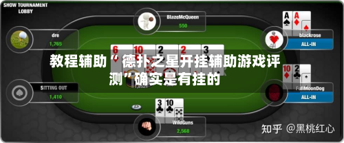 教程辅助“ 德扑之星开挂辅助游戏评测”确实是有挂的-第2张图片