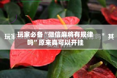 玩家必备“微信麻将有规律吗”原来真可以开挂
