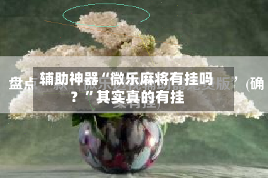 辅助神器“微乐麻将有挂吗？”其实真的有挂-第2张图片