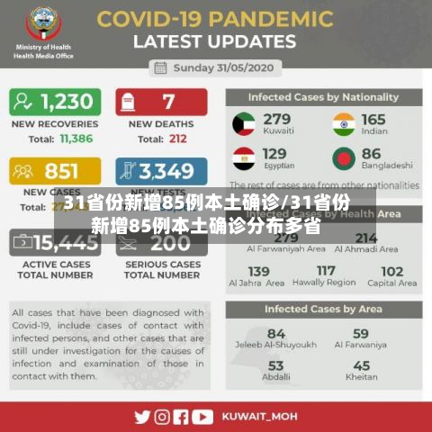 31省份新增85例本土确诊/31省份新增85例本土确诊分布多省