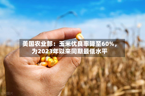 美国农业部：玉米优良率降至60%，为2023年以来同期最低水平-第1张图片