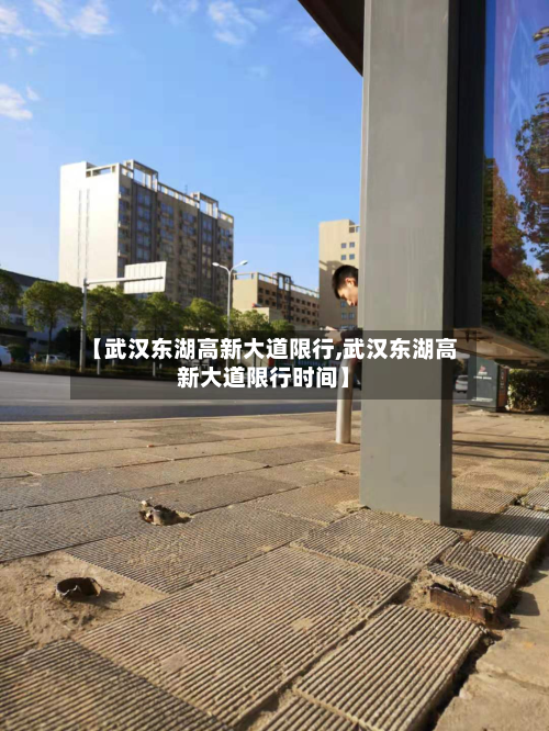 【武汉东湖高新大道限行,武汉东湖高新大道限行时间】-第3张图片