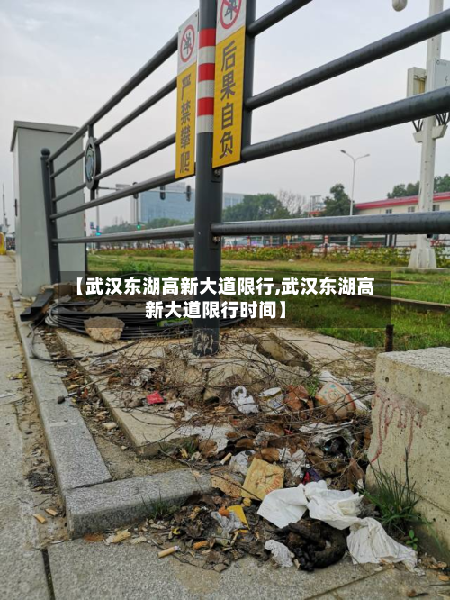 【武汉东湖高新大道限行,武汉东湖高新大道限行时间】