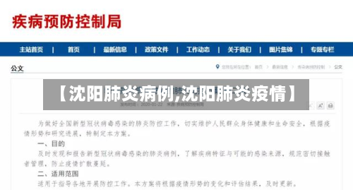 【沈阳肺炎病例,沈阳肺炎疫情】-第2张图片