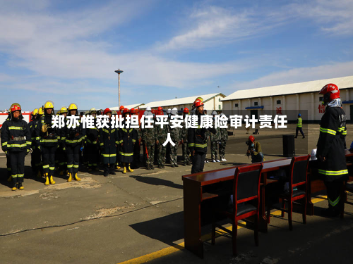 郑亦惟获批担任平安健康险审计责任人