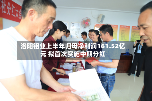 洛阳钼业上半年归母净利润161.52亿元 拟首次实施中期分红-第2张图片