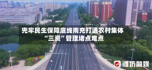 兜牢民生保障底线南充打通农村集体“三资”管理堵点难点-第3张图片