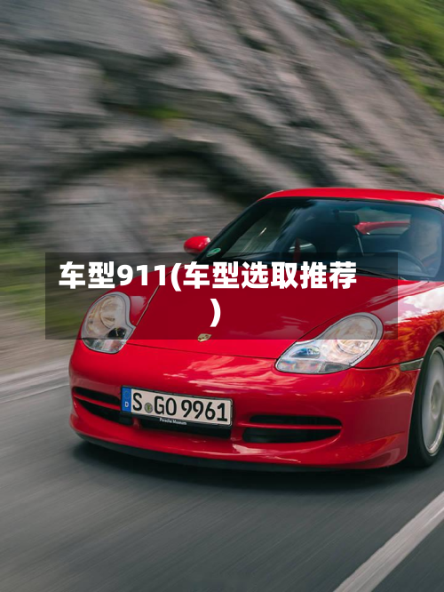 车型911(车型选取推荐)-第3张图片