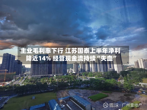 主业毛利率下行 江苏国泰上半年净利降近14% 经营现金流持续“失血	”-第2张图片