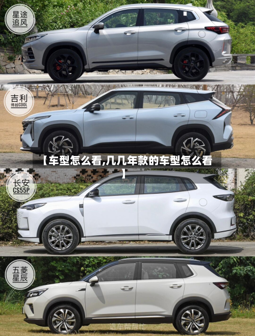【车型怎么看,几几年款的车型怎么看】-第3张图片