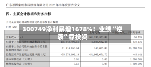 300749净利暴增1678%！业绩“逆袭”靠投资-第2张图片