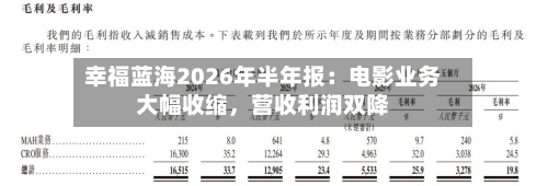 幸福蓝海2026年半年报：电影业务大幅收缩，营收利润双降-第1张图片