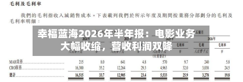 幸福蓝海2026年半年报：电影业务大幅收缩，营收利润双降-第3张图片