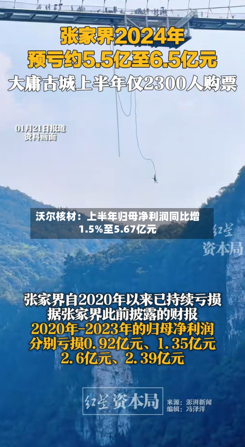 沃尔核材:上半年归母净利润同比增1.5%至5.67亿元-第3张图片