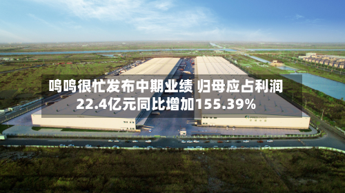 鸣鸣很忙发布中期业绩 归母应占利润22.4亿元同比增加155.39%-第3张图片