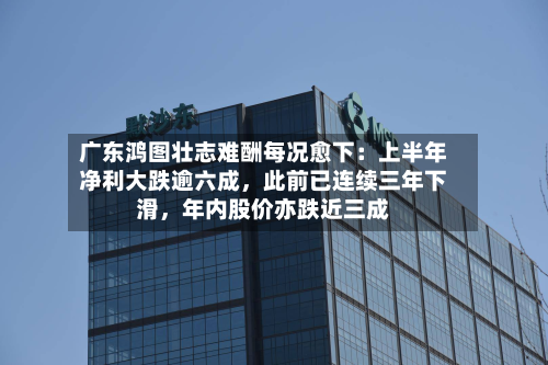 广东鸿图壮志难酬每况愈下：上半年净利大跌逾六成	，此前已连续三年下滑，年内股价亦跌近三成-第1张图片