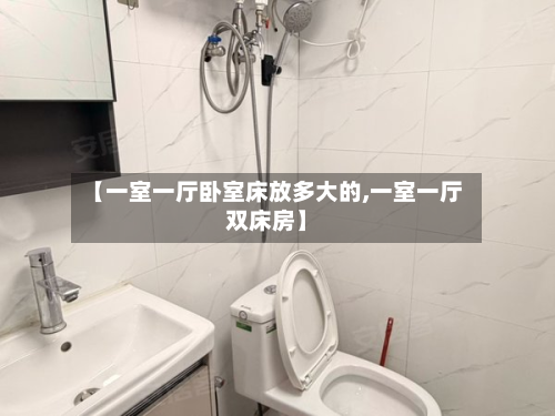 【一室一厅卧室床放多大的,一室一厅双床房】