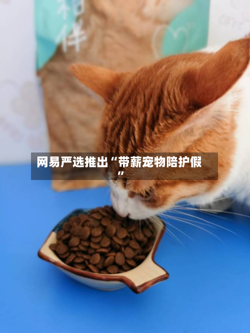 网易严选推出“带薪宠物陪护假”-第2张图片