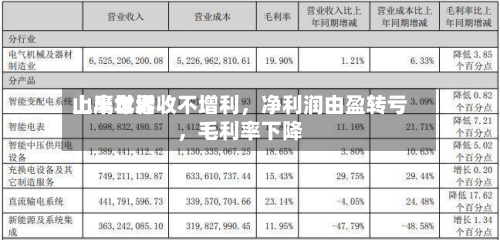 山鹰世界上半年增收不增利，净利润由盈转亏，毛利率下降-第2张图片