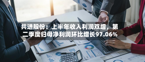 共进股份：上半年收入利润双增，第二季度归母净利润环比增长97.06%-第2张图片
