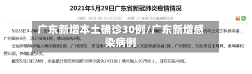 广东新增本土确诊30例/广东新增感染病例