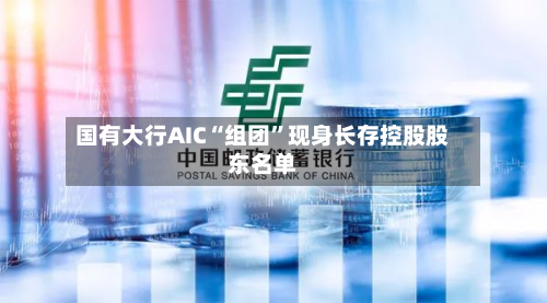 国有大行AIC“组团”现身长存控股股东名单