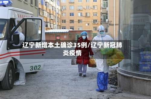 辽宁新增本土确诊35例/辽宁新冠肺炎疫情-第2张图片
