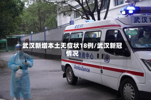 武汉新增本土无症状18例/武汉新冠情况