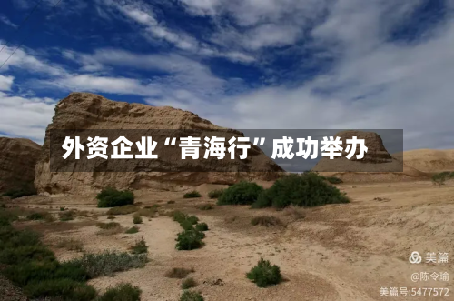 外资企业“青海行”成功举办-第2张图片