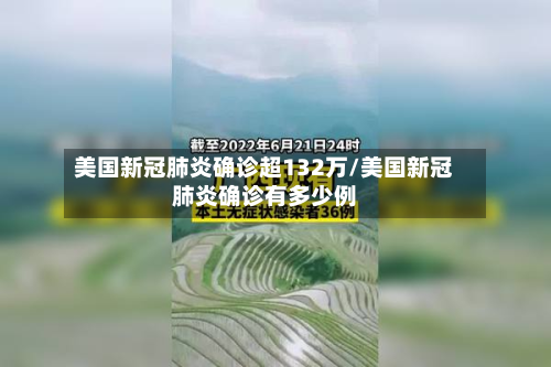 美国新冠肺炎确诊超132万/美国新冠肺炎确诊有多少例