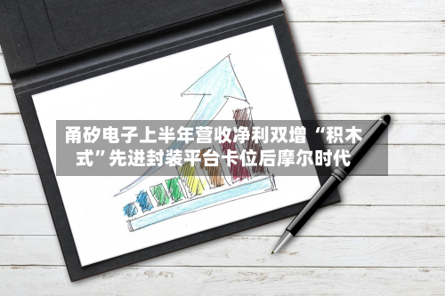 甬矽电子上半年营收净利双增 “积木式”先进封装平台卡位后摩尔时代-第2张图片
