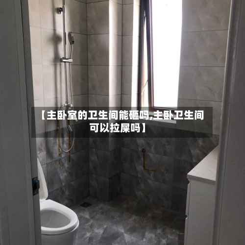 【主卧室的卫生间能砸吗,主卧卫生间可以拉屎吗】-第3张图片