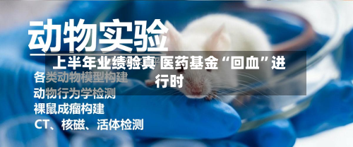上半年业绩验真 医药基金“回血”进行时-第2张图片