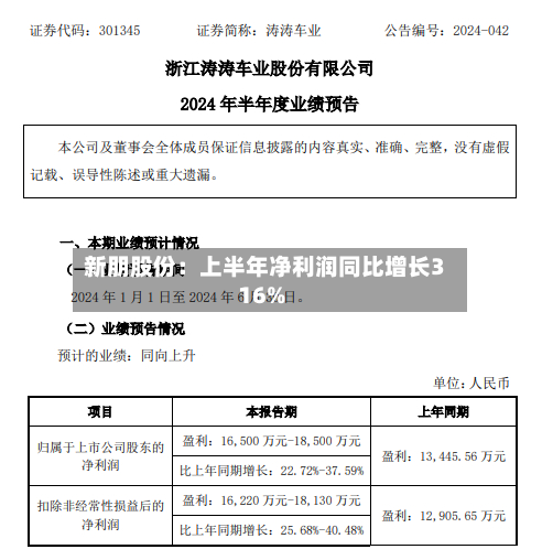 新朋股份：上半年净利润同比增长316%