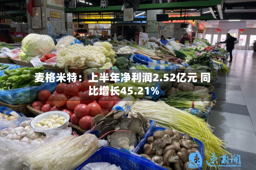 麦格米特：上半年净利润2.52亿元 同比增长45.21%