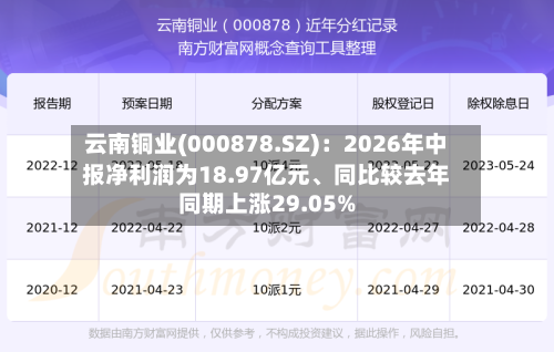 云南铜业(000878.SZ)：2026年中报净利润为18.97亿元、同比较去年同期上涨29.05%-第3张图片
