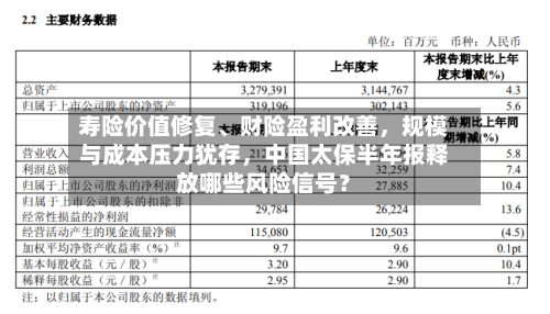 寿险价值修复	、财险盈利改善	，规模与成本压力犹存，中国太保半年报释放哪些风险信号？-第2张图片