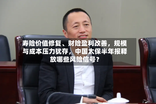 寿险价值修复、财险盈利改善	，规模与成本压力犹存，中国太保半年报释放哪些风险信号？-第3张图片